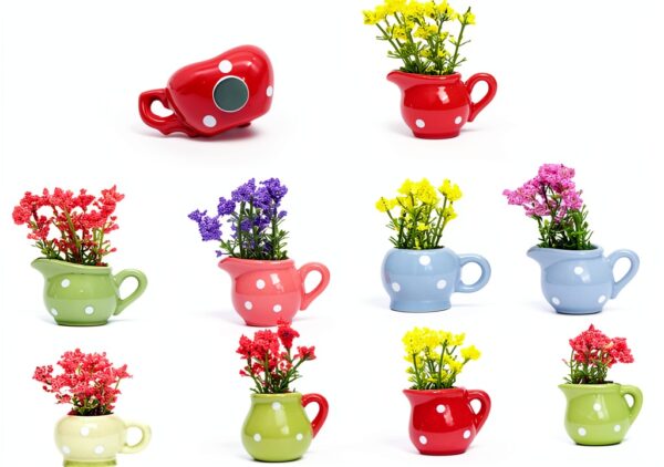 Ciieeo aimants plantes verre décorations réfrigérateur